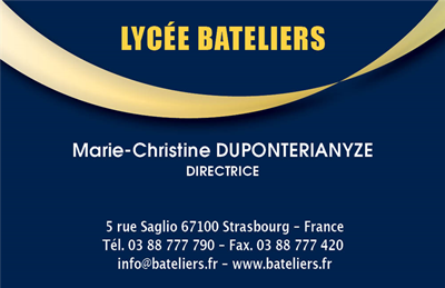 Carte de visite professionnelle modèle_3
