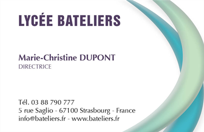 Carte de visite professionnelle modèle_2
