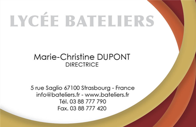 Carte de visite professionnelle modèle_4